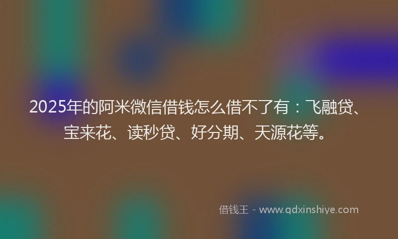2025年的阿米微信借钱怎么借不了有：飞融贷、宝来花、读秒贷、好分期、天源花等。