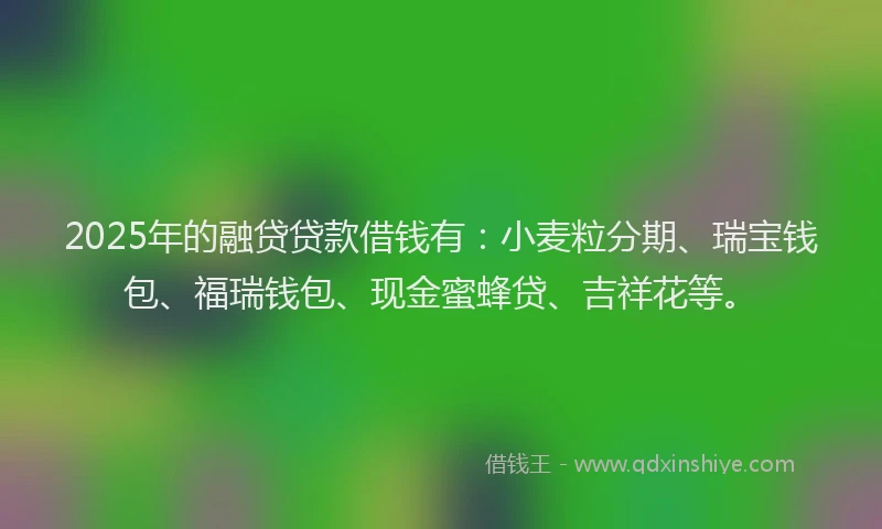 2025年的融贷贷款借钱有：小麦粒分期、瑞宝钱包、福瑞钱包、现金蜜蜂贷、吉祥花等。