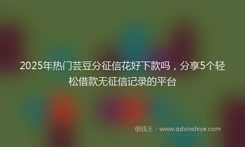 2025年热门芸豆分征信花好下款吗,分享5个轻松借款无征信记录的平台