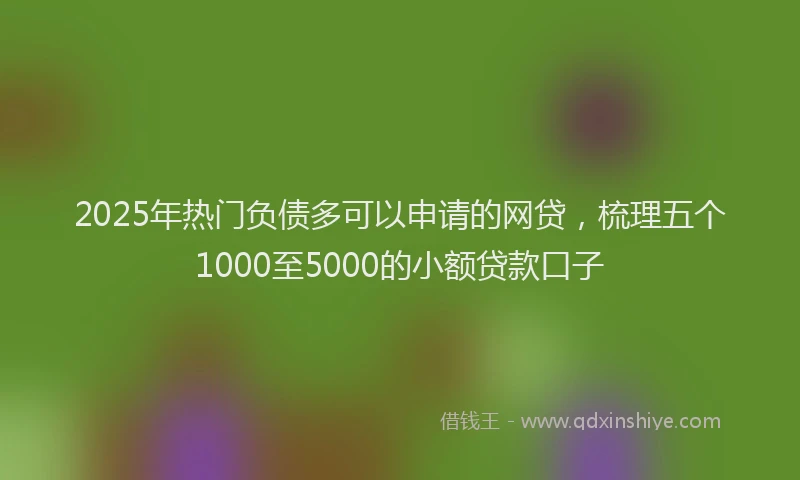 2025年热门负债多可以申请的网贷，梳理五个1000至5000的小额贷款口子