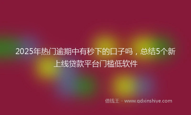2025年热门逾期中有秒下的口子吗,总结5个新上线贷款平台门槛低软件