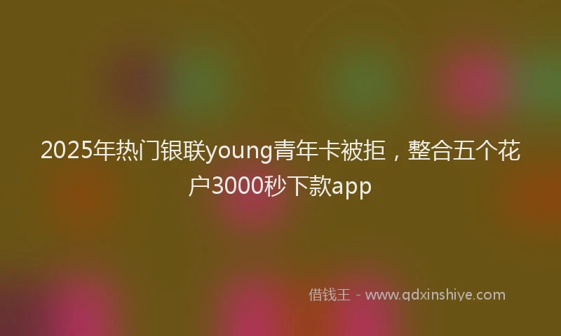 2025年热门银联young青年卡被拒，整合五个花户3000秒下款app