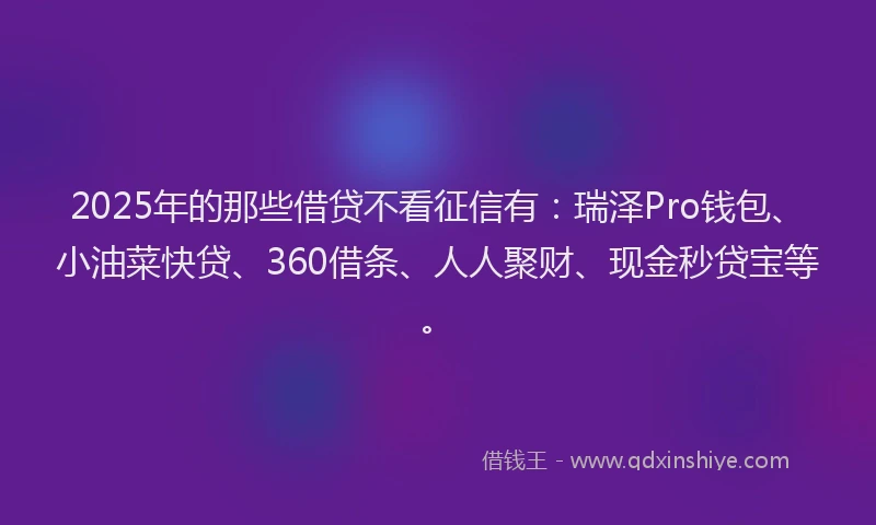 2025年的那些借贷不看征信有：瑞泽Pro钱包、小油菜快贷、360借条、人人聚财、现金秒贷宝等。