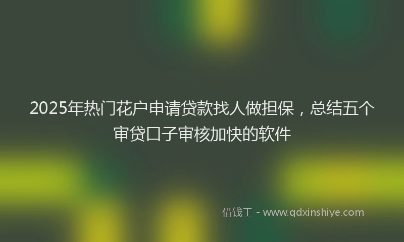 2025年热门花户申请贷款找人做担保,总结五个审贷口子审核加快的软件
