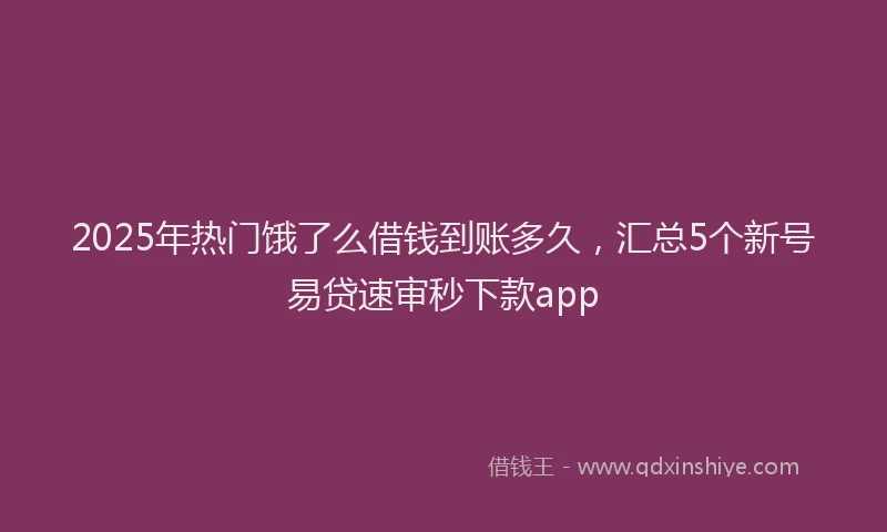 2025年热门饿了么借钱到账多久，汇总5个新号易贷速审秒下款app