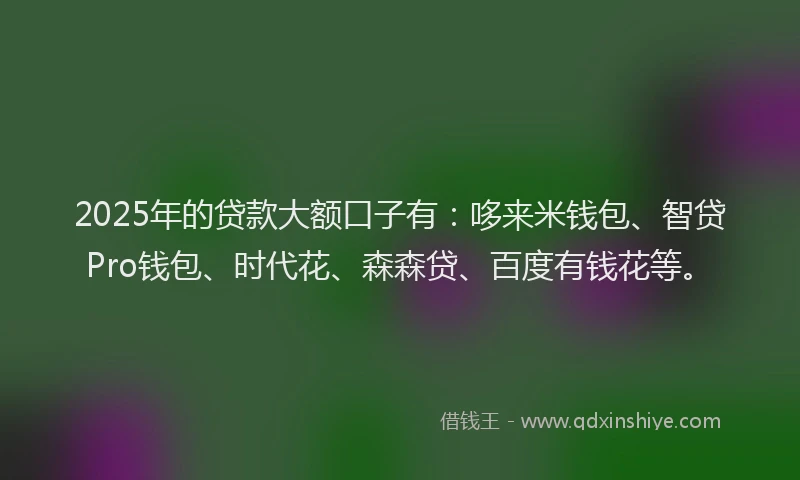 2025年的贷款大额口子有:哆来米钱包、智贷Pro钱包、时代花、森森贷、百度有钱花等。