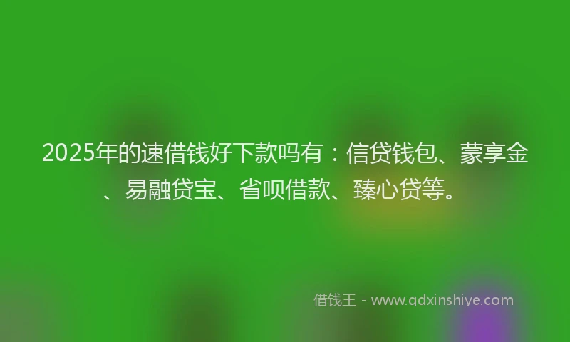 2025年的速借钱好下款吗有：信贷钱包、蒙享金、易融贷宝、省呗借款、臻心贷等。
