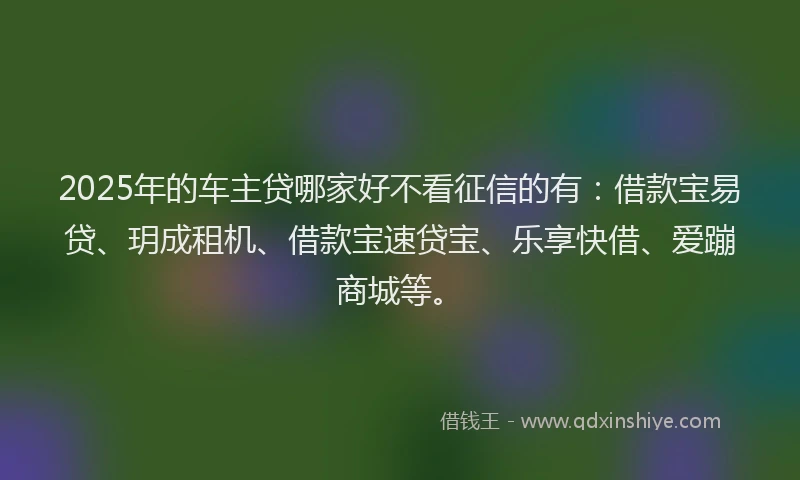 2025年的车主贷哪家好不看征信的有：借款宝易贷、玥成租机、借款宝速贷宝、乐享快借、爱蹦商城等。