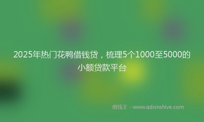 2025年热门花鸭借钱贷，梳理5个1000至5000的小额贷款平台