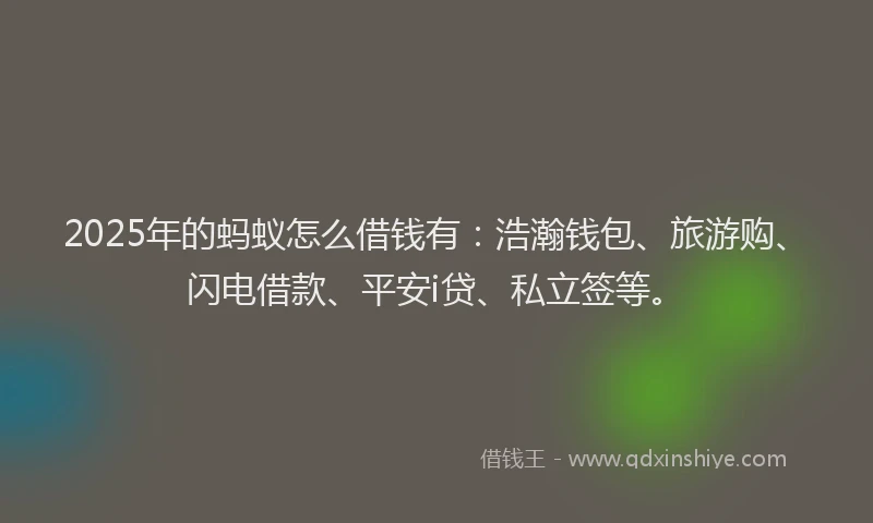 2025年的蚂蚁怎么借钱有：浩瀚钱包、旅游购、闪电借款、平安i贷、私立签等。