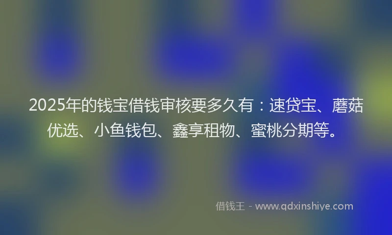 2025年的钱宝借钱审核要多久有：速贷宝、蘑菇优选、小鱼钱包、鑫享租物、蜜桃分期等。