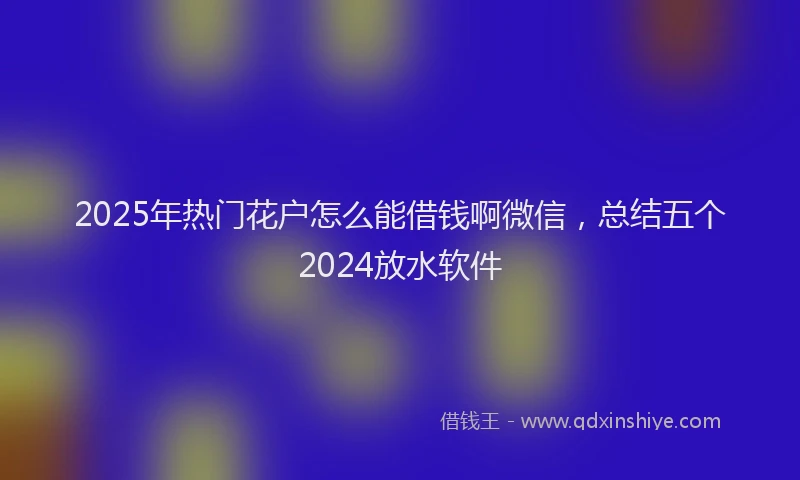 2025年热门花户怎么能借钱啊微信，总结五个2024放水软件