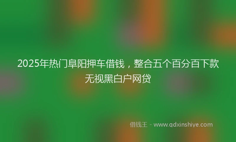2025年热门阜阳押车借钱，整合五个百分百下款无视黑白户网贷
