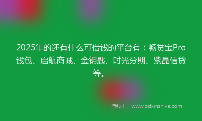 2025年的还有什么可借钱的平台有：畅贷宝Pro钱包、启航商城、金钥匙、时光分期、紫晶信贷等。