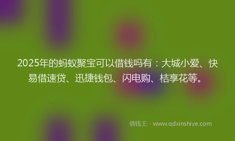 2025年的蚂蚁聚宝可以借钱吗有：大城小爱、快易借速贷、迅捷钱包、闪电购、桔享花等。