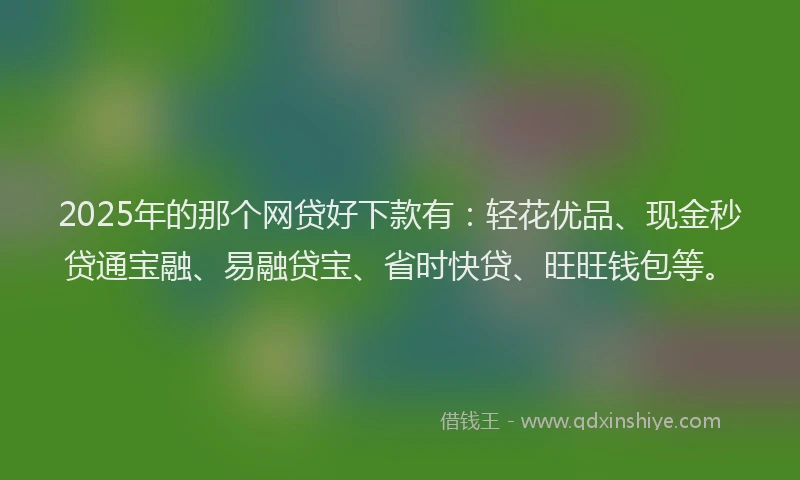 2025年的那个网贷好下款有：轻花优品、现金秒贷通宝融、易融贷宝、省时快贷、旺旺钱包等。