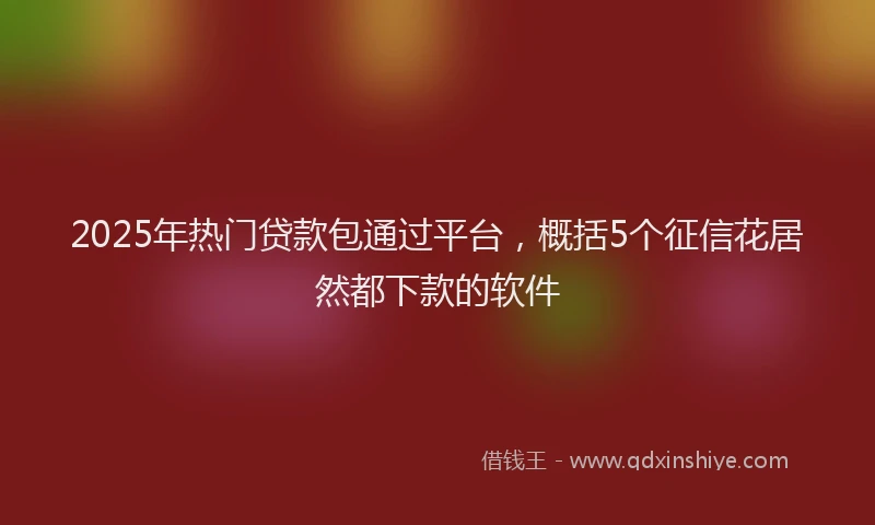 2025年热门贷款包通过平台，概括5个征信花居然都下款的软件