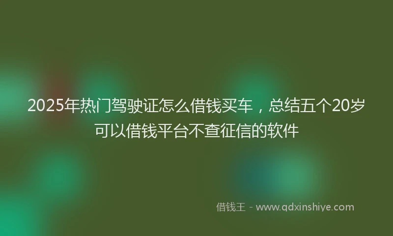 2025年热门驾驶证怎么借钱买车,总结五个20岁可以借钱平台不查征信的软件