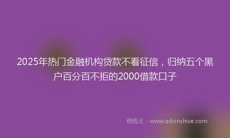 2025年热门金融机构贷款不看征信，归纳五个黑户百分百不拒的2000借款口子