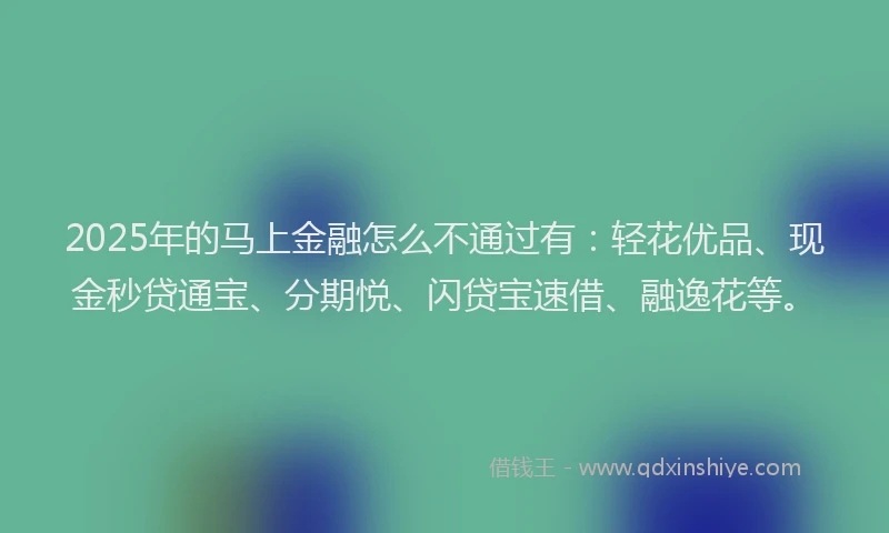 2025年的马上金融怎么不通过有：轻花优品、现金秒贷通宝、分期悦、闪贷宝速借、融逸花等。