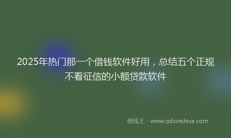 2025年热门那一个借钱软件好用，总结五个正规不看征信的小额贷款软件