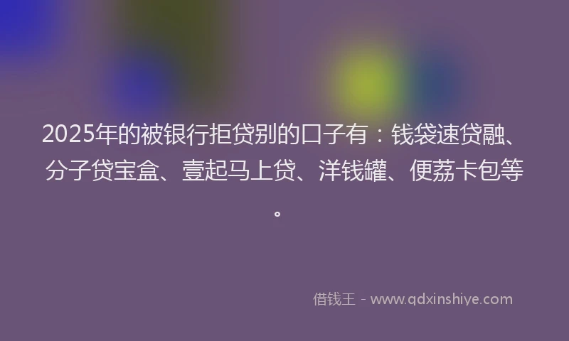 2025年的被银行拒贷别的口子有:钱袋速贷融、分子贷宝盒、壹起马上贷、洋钱罐、便荔卡包等。