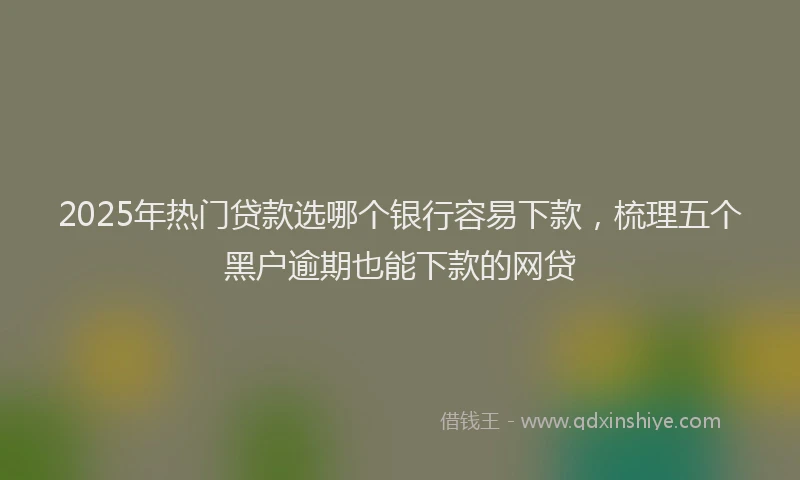 2025年热门贷款选哪个银行容易下款，梳理五个黑户逾期也能下款的网贷