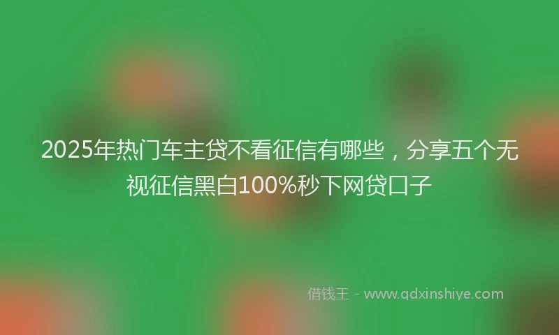 2025年热门车主贷不看征信有哪些，分享五个无视征信黑白100%秒下网贷口子