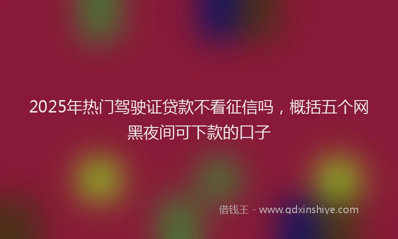 2025年热门驾驶证贷款不看征信吗，概括五个网黑夜间可下款的口子