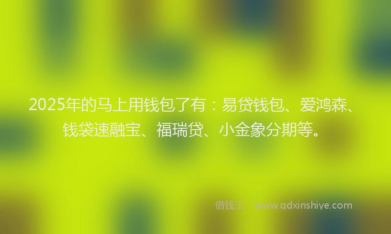 2025年的马上用钱包了有：易贷钱包、爱鸿森、钱袋速融宝、福瑞贷、小金象分期等。