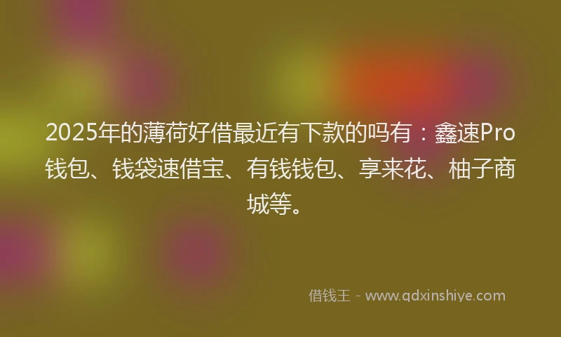 2025年的薄荷好借最近有下款的吗有:鑫速Pro钱包、钱袋速借宝、有钱钱包、享来花、柚子商城等。
