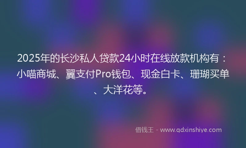 2025年的长沙私人贷款24小时在线放款机构有:小喵商城、翼支付Pro钱包、现金白卡、珊瑚买单、大洋花等。