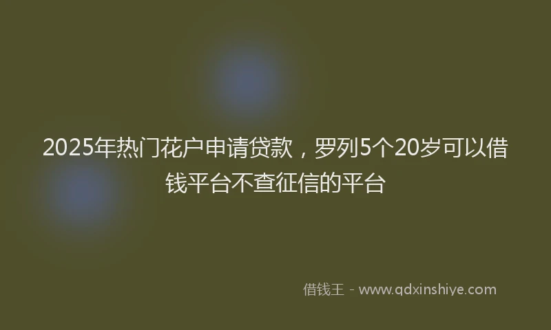2025年热门花户申请贷款,罗列5个20岁可以借钱平台不查征信的平台