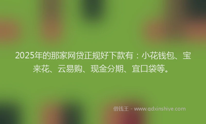 2025年的那家网贷正规好下款有：小花钱包、宝来花、云易购、现金分期、宜口袋等。