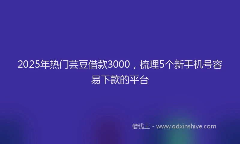 2025年热门芸豆借款3000，梳理5个新手机号容易下款的平台