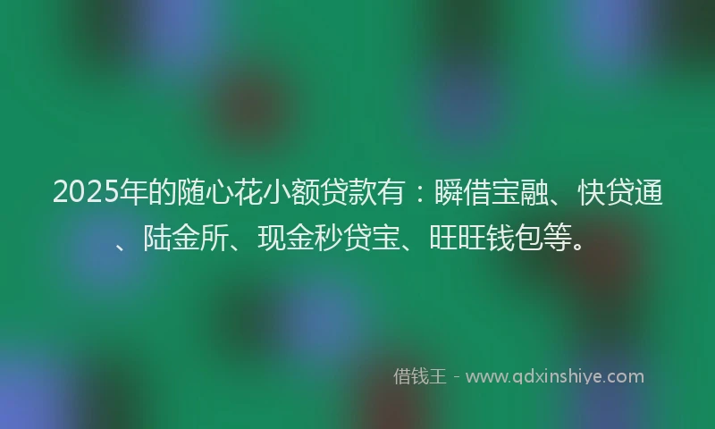 2025年的随心花小额贷款有：瞬借宝融、快贷通、陆金所、现金秒贷宝、旺旺钱包等。