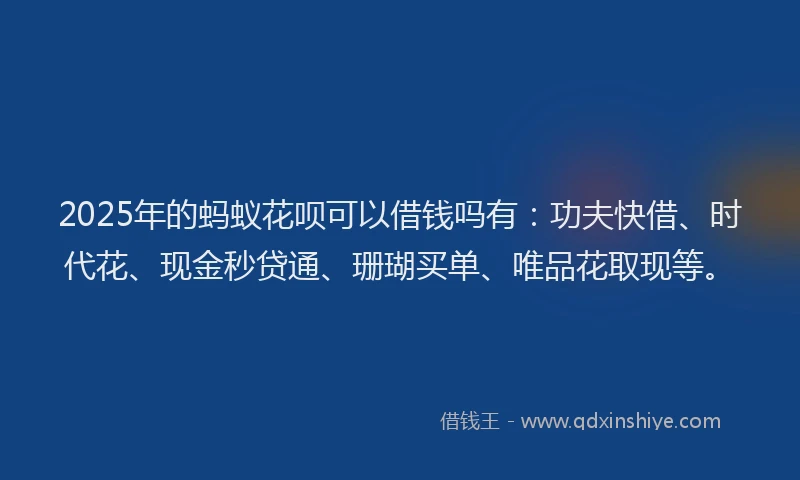 2025年的蚂蚁花呗可以借钱吗有：功夫快借、时代花、现金秒贷通、珊瑚买单、唯品花取现等。