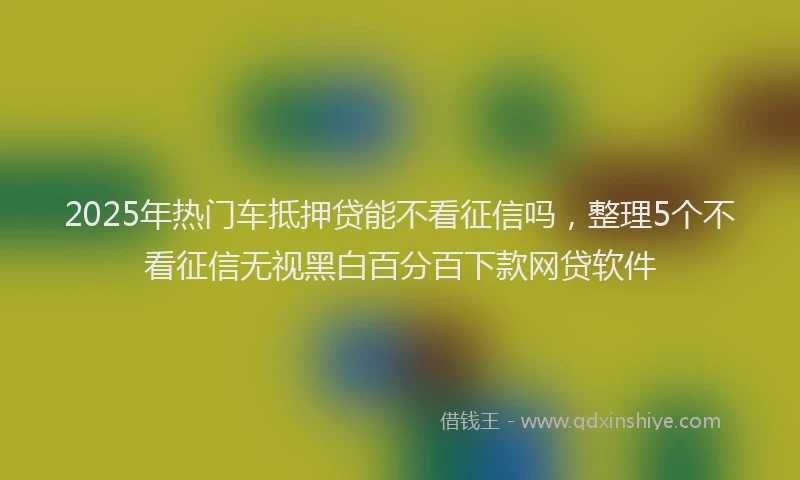 2025年热门车抵押贷能不看征信吗,整理5个不看征信无视黑白百分百下款网贷软件