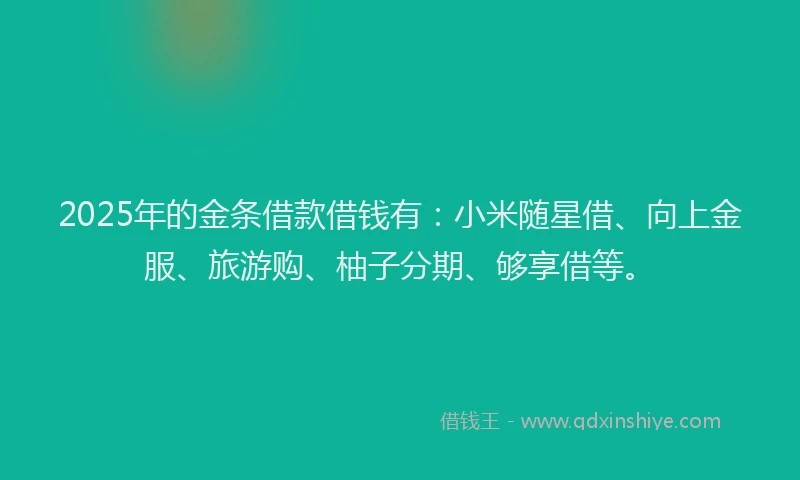 2025年的金条借款借钱有：小米随星借、向上金服、旅游购、柚子分期、够享借等。