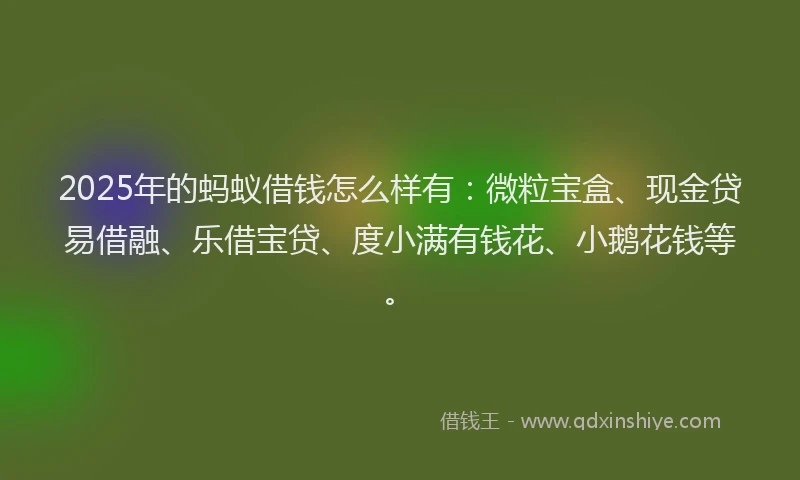 2025年的蚂蚁借钱怎么样有：微粒宝盒、现金贷易借融、乐借宝贷、度小满有钱花、小鹅花钱等。