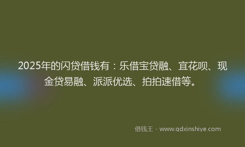 2025年的闪贷借钱有：乐借宝贷融、宜花呗、现金贷易融、派派优选、拍拍速借等。