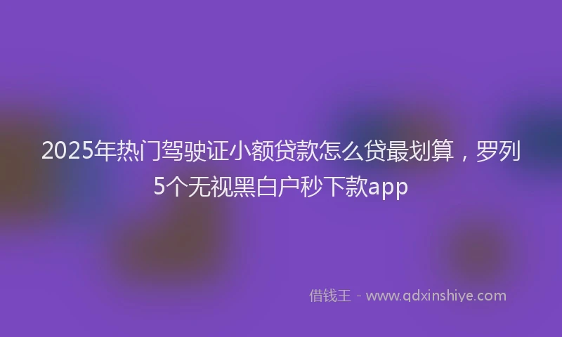 2025年热门驾驶证小额贷款怎么贷最划算，罗列5个无视黑白户秒下款app