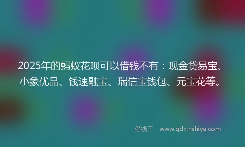 2025年的蚂蚁花呗可以借钱不有：现金贷易宝、小象优品、钱速融宝、瑞信宝钱包、元宝花等。