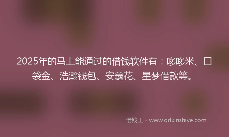 2025年的马上能通过的借钱软件有：哆哆米、口袋金、浩瀚钱包、安鑫花、星梦借款等。