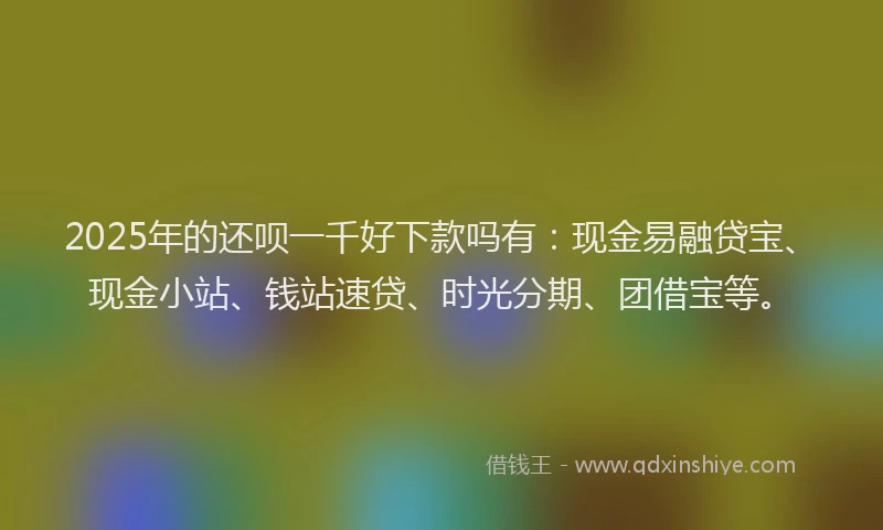 2025年的还呗一千好下款吗有：现金易融贷宝、现金小站、钱站速贷、时光分期、团借宝等。