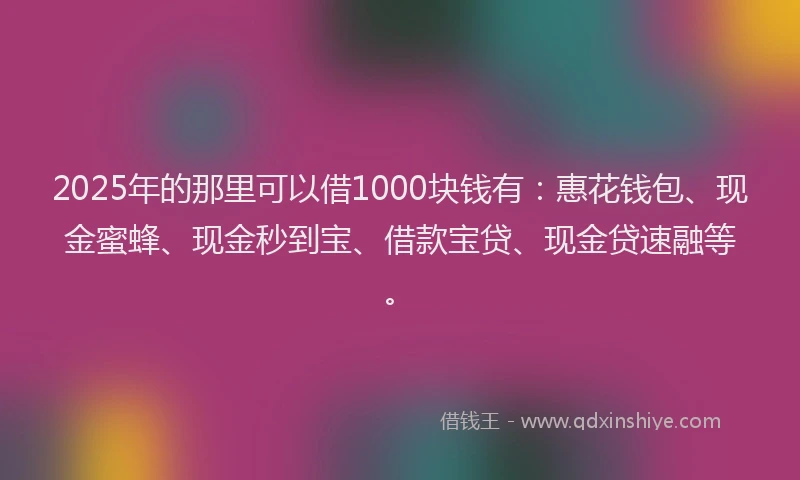2025年的那里可以借1000块钱有:惠花钱包、现金蜜蜂、现金秒到宝、借款宝贷、现金贷速融等。