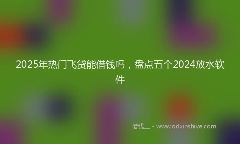 2025年热门飞贷能借钱吗，盘点五个2024放水软件