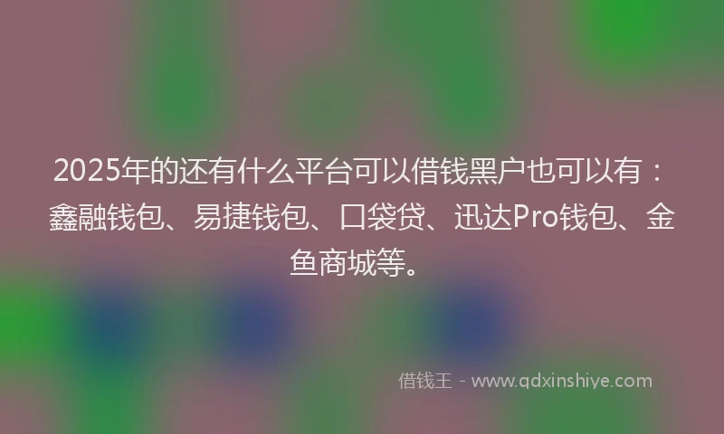 2025年的还有什么平台可以借钱黑户也可以有：鑫融钱包、易捷钱包、口袋贷、迅达Pro钱包、金鱼商城等。