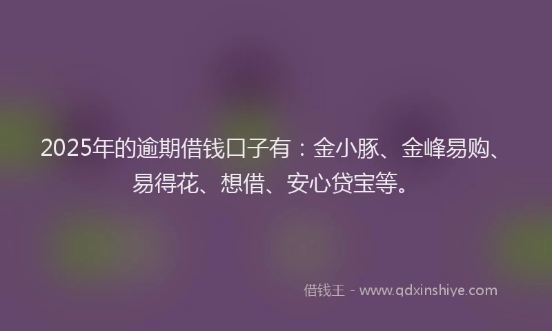 2025年的逾期借钱口子有:金小豚、金峰易购、易得花、想借、安心贷宝等。