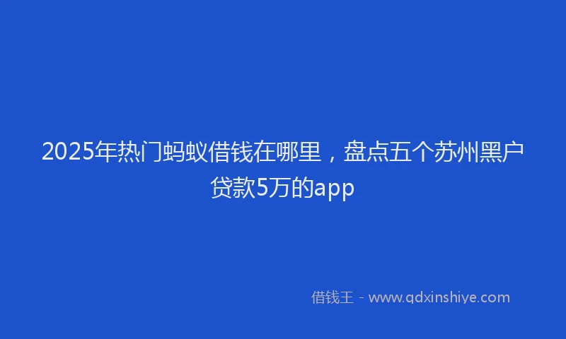 2025年热门蚂蚁借钱在哪里，盘点五个苏州黑户贷款5万的app